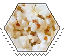 popcorn hexagonal stamp